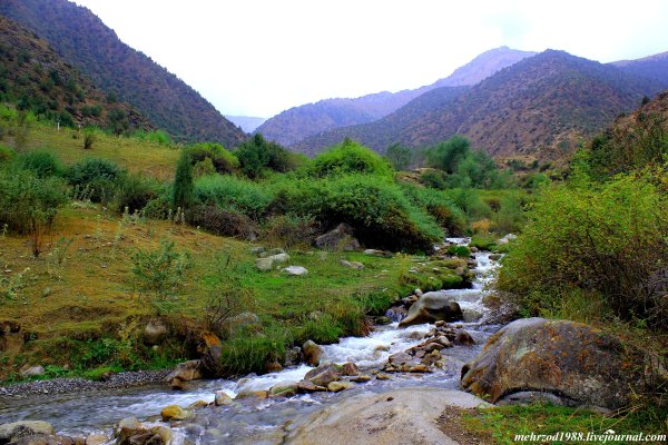 Природа Ворух Таджикистан