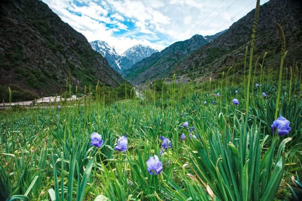 Таджикистан горы Лола