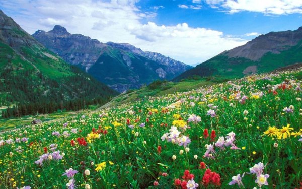 Таджикистан Душанбе природа