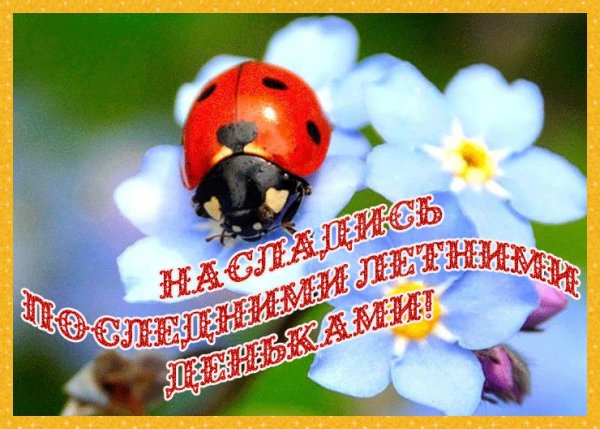 Открытки с последними летними деньками