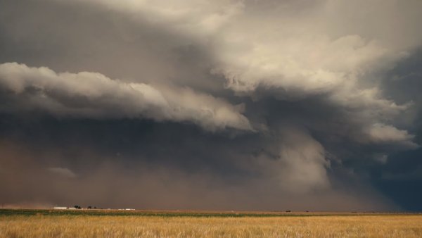 Вивальди времена года лето
