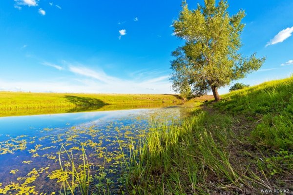 Сарыарка — степи и озёра Северного Казахстана