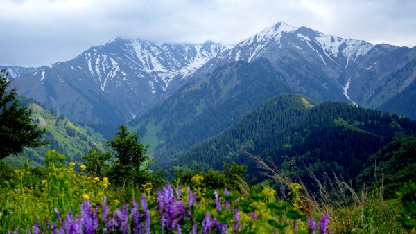 Предгорье Заилийского Алатау
