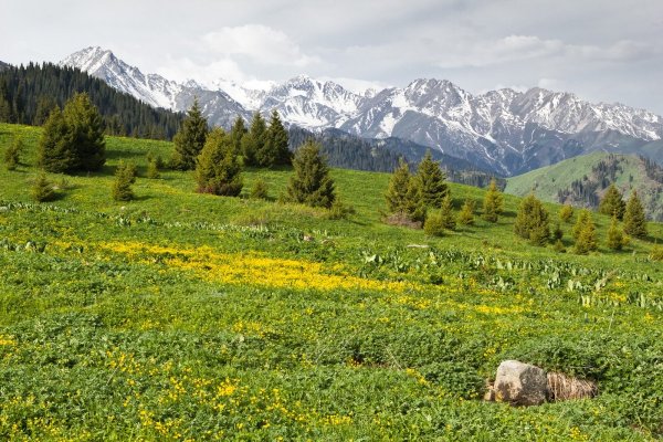 Алма-Ата Кок Джайляу