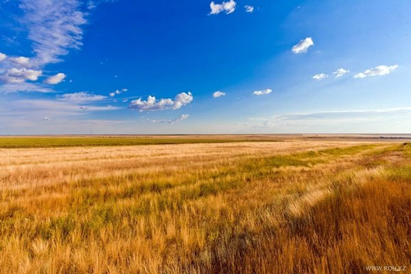Степь Кустанай