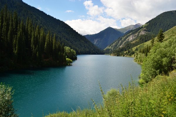 Природа восточного Казахстана фото