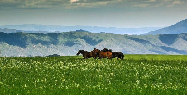 Жайлау Казахстана