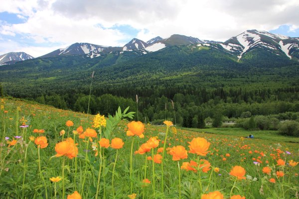 Риддер Казахстан горы