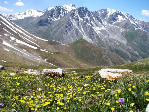 Киргизия Луга Тянь-Шаня