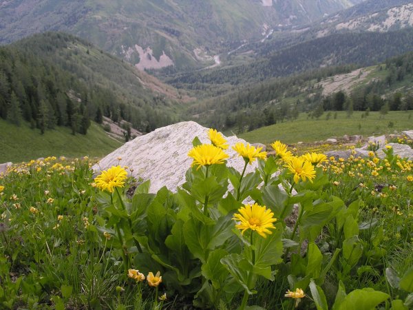 Природа ВКО Казахстан