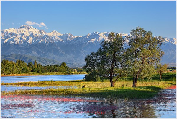 Климат Южного Казахстана