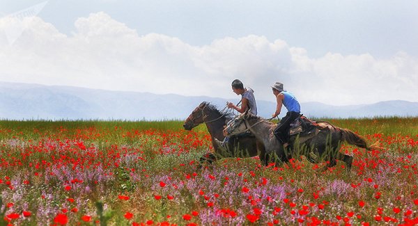 Великая казахская степь