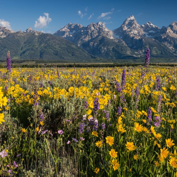 Казахстан летом