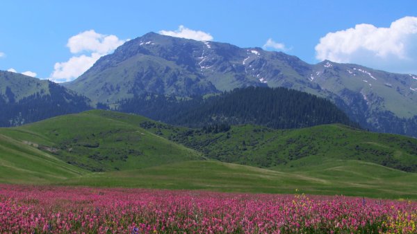 Горы Южного Казахстана