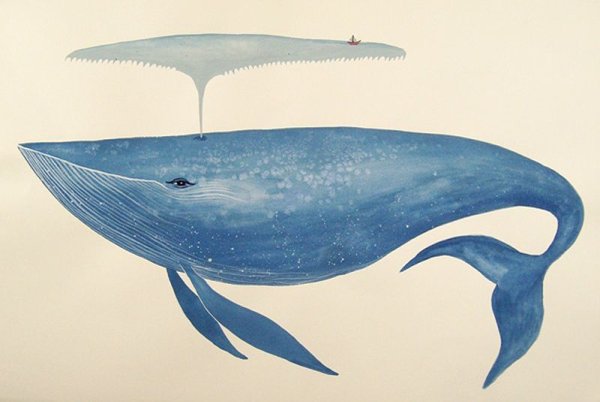 Хвост гренландского кита