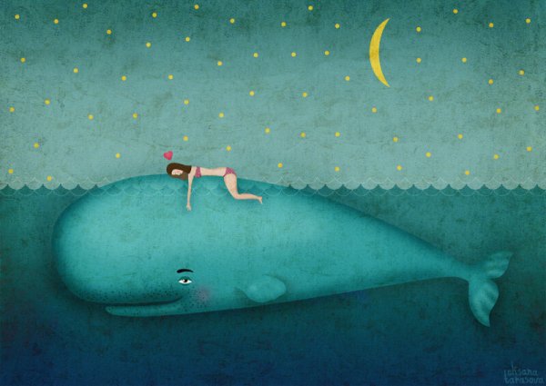 ГНПП Касатка Абхазия