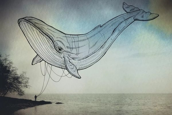 День морских животных киты