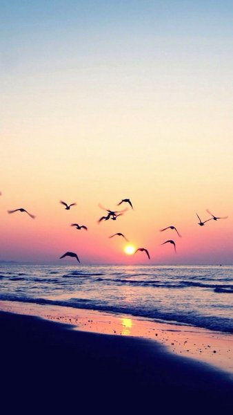 Крутая летняя заставка на телефон