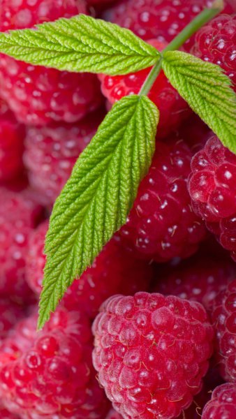 Фрукты на пляже