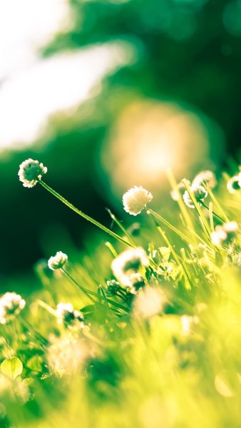 Красивое лето