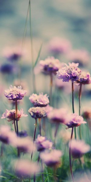 Красивое Лазурное море