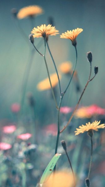 Красивые картинки