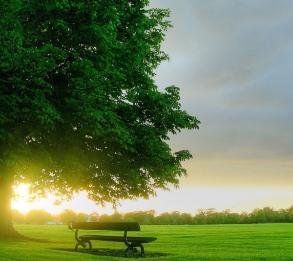 Аватарка лето