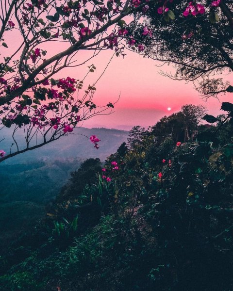 Природа в зеленых тонах