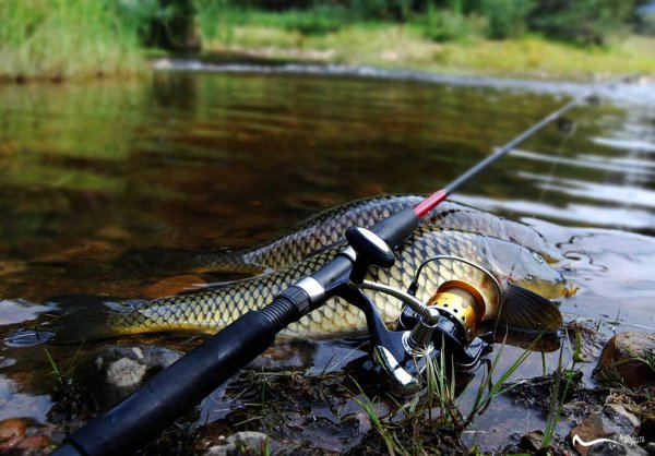 Красивая природа рыбалка