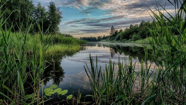 Река Шибахта