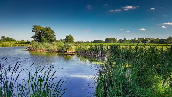 Донская природа