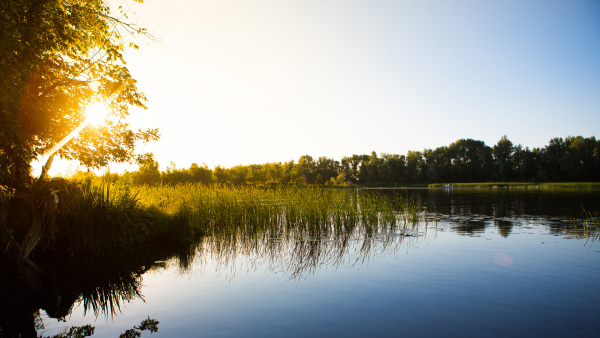 Речка солнце