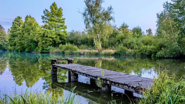 Тарелочкин пруд