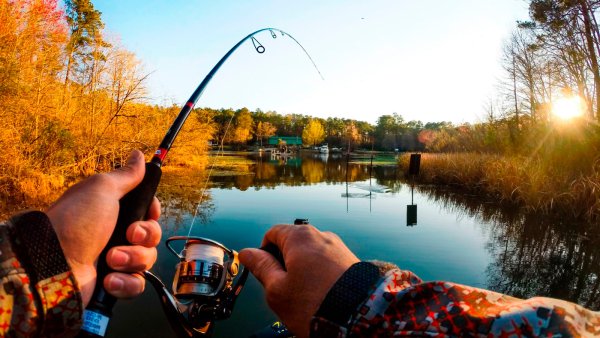 Природа рыбалка