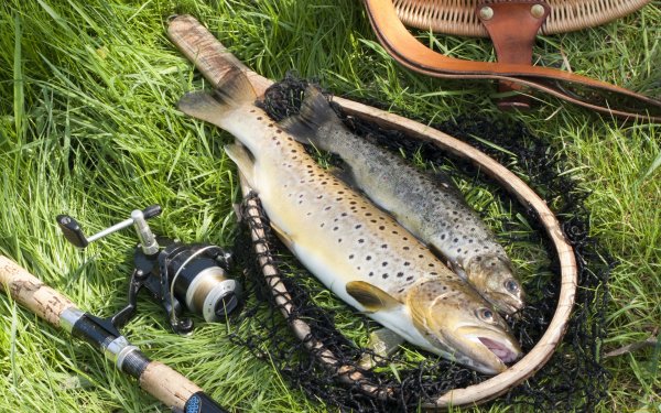 Красивая рыбалка