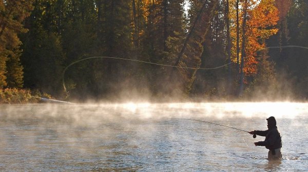 Нахлыстовая рыбалка
