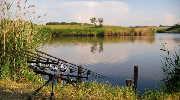 Удочка на берегу озера