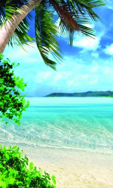 Яркие фрукты