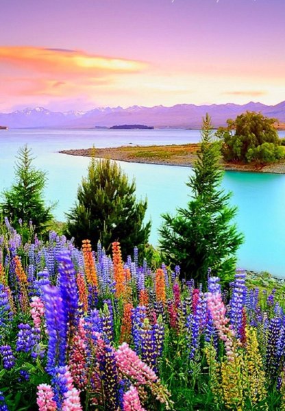 Лучшие пейзажи лета вертикально