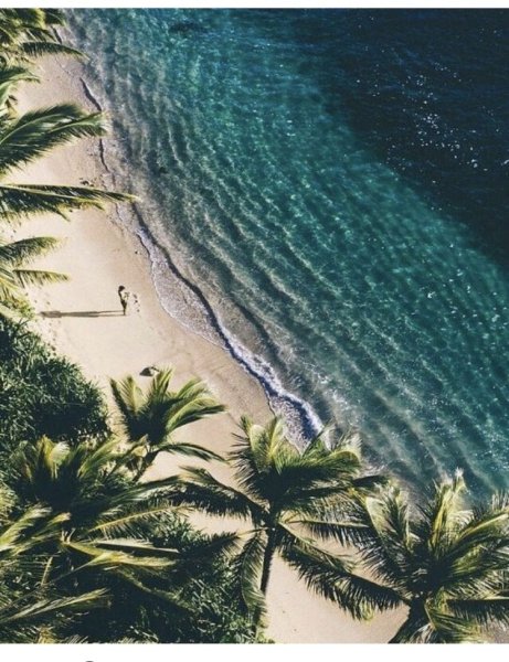 Заставка лето