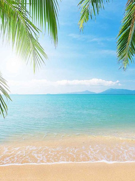 Природа море