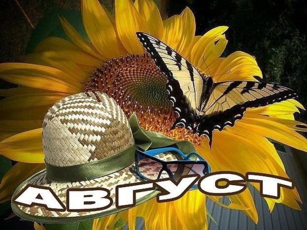 Летние картинки