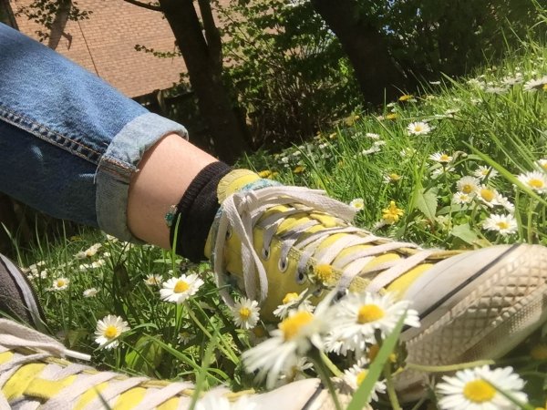 Лето в разгаре