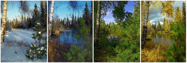 Пейзажи всех времен года