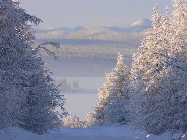 Горы снег лес