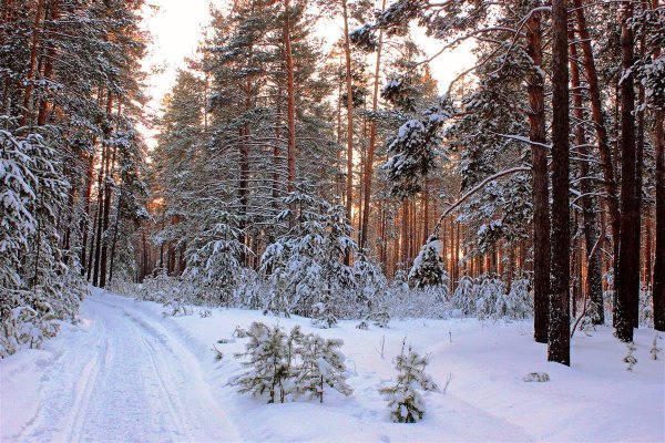 Пейзаж времена года