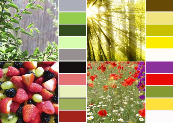 Сочетание цветов в природе