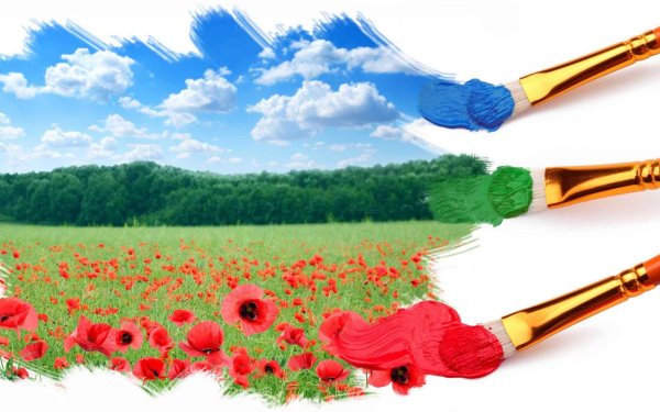 Летнее сочетание цветов