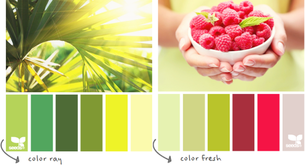 Летняя палитра цветов