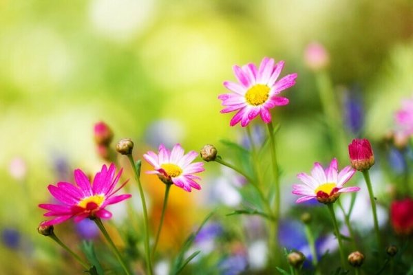 Bright Spring палитра